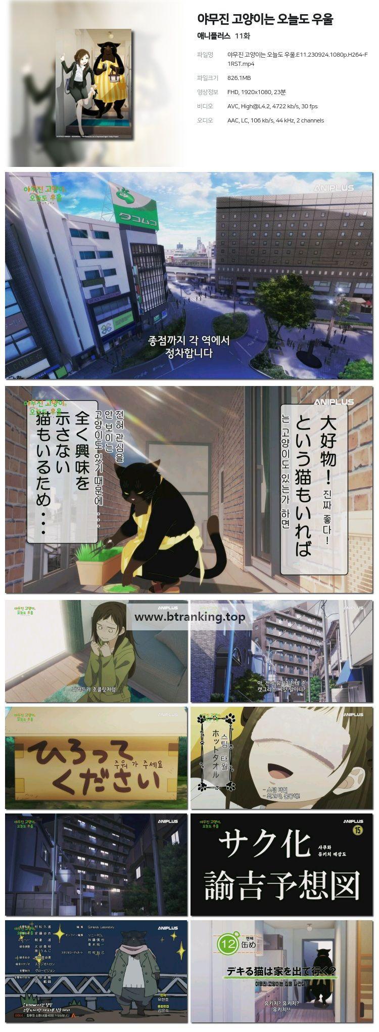 야무진 고양이는 오늘도 우울.E11.230924.1080p.H264-F1RST