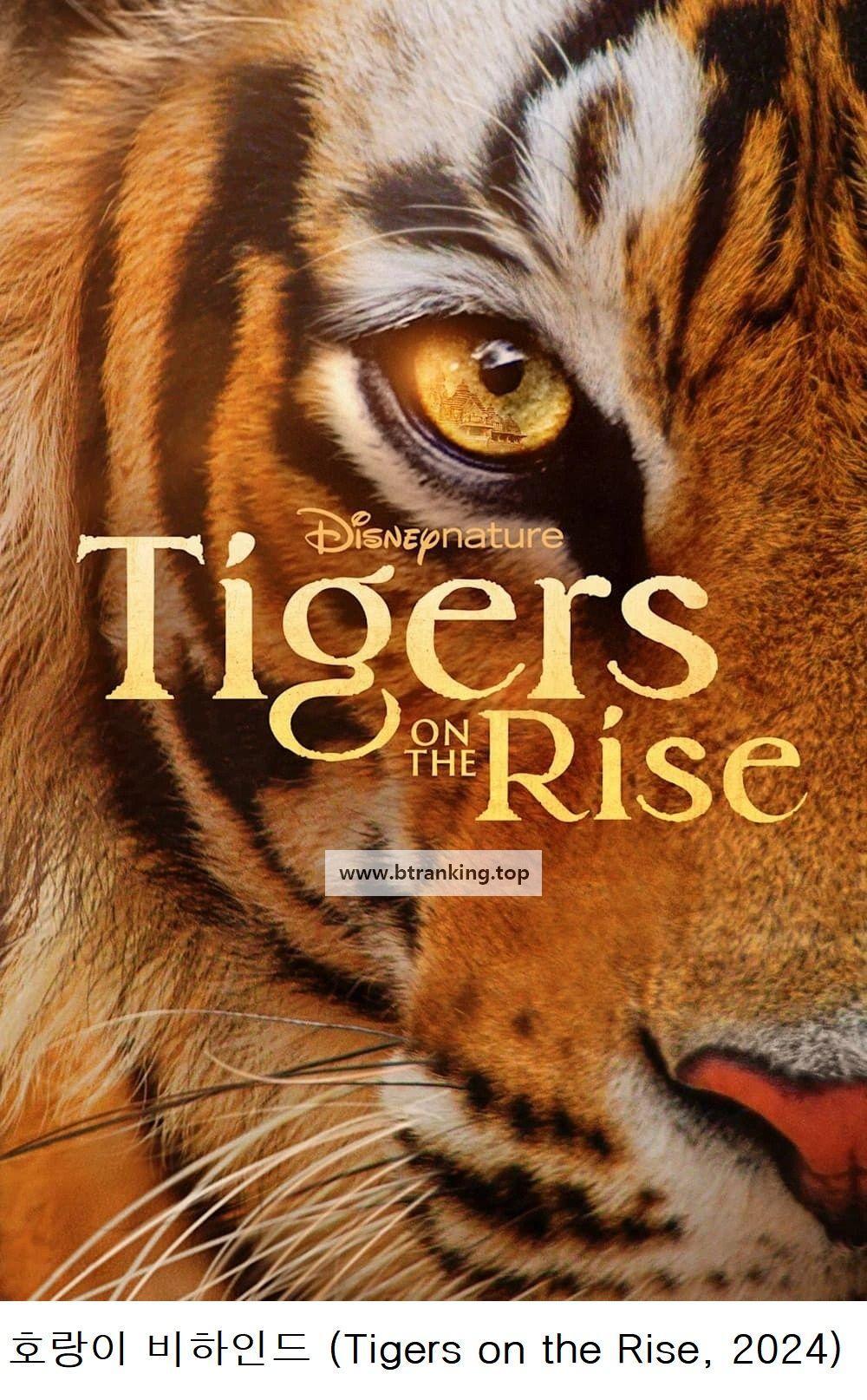 호랑이 비하인드 Tigers on the Rise,2024.1080p.KORSUB.WEBRip.H264.AAC