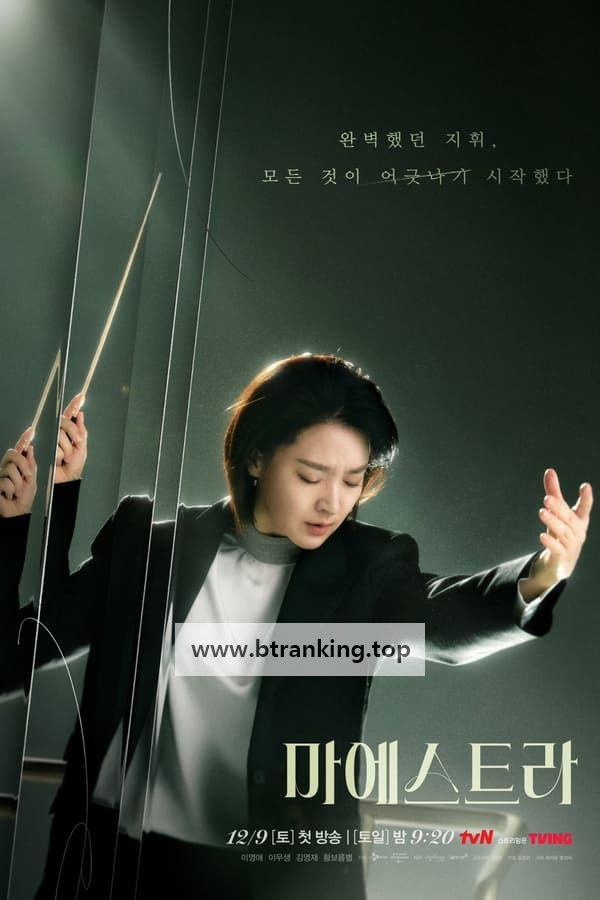 마에스트라.Maestra-Strings.of.Truth.S01.완결.1080p.x264.AAC-BCG