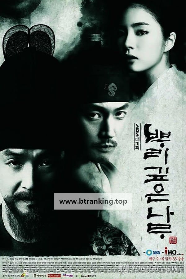 뿌리깊은 나무.Deep.Rooted.Tree.S01.완결.1080p.x264.AAC-BCG